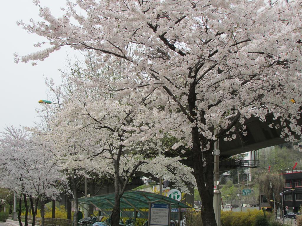 ホテル ヨン ハウス ソウル特別市 エクステリア 写真